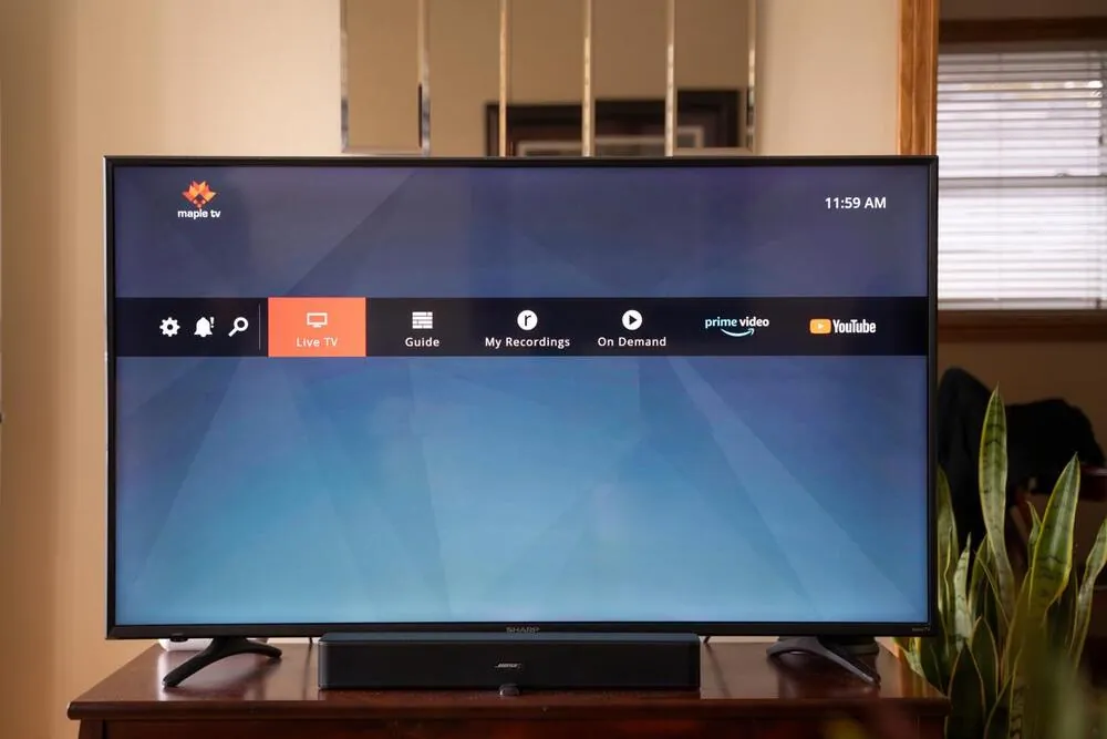 Maple TV on a living-room television